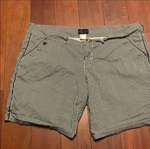 Torrid pinstripe shorts